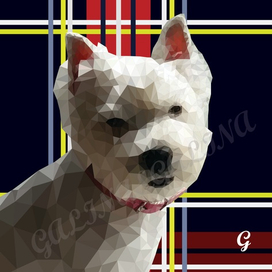 Собака вест - хайленд 