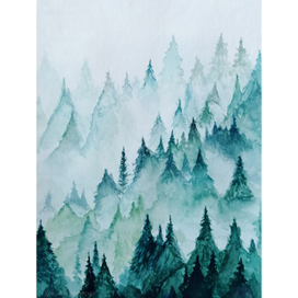 Туман в хвойном лесу