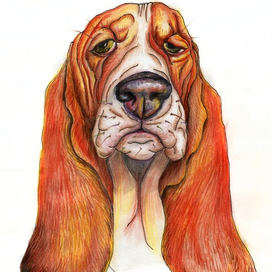 взгляд умиротворения