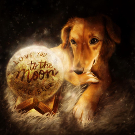 Любовь твоей собаки огромна! 