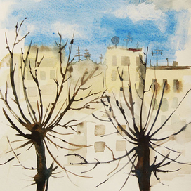 Диалог тополей