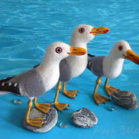 Байкальские  чайки