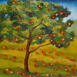 Яблоки созрели.