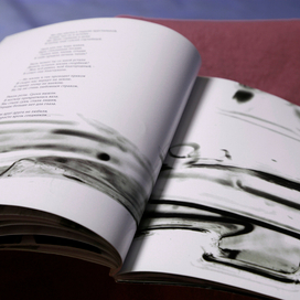 Книга. Сборник стихов. Автор Сольский А.Д._16