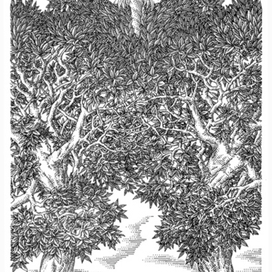 Влюбленные