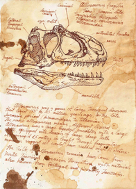 allusaurus skull