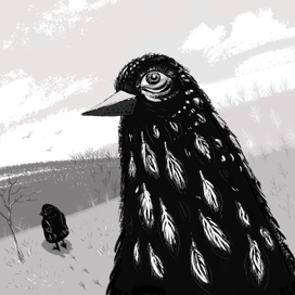 Черная птица с большими глазами