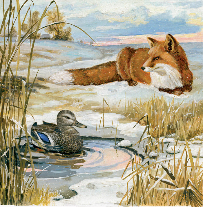 " Серая шейка "