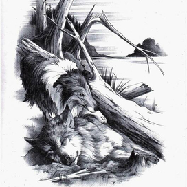 Молниеносный. 9-3