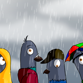 Голуби в сезоне