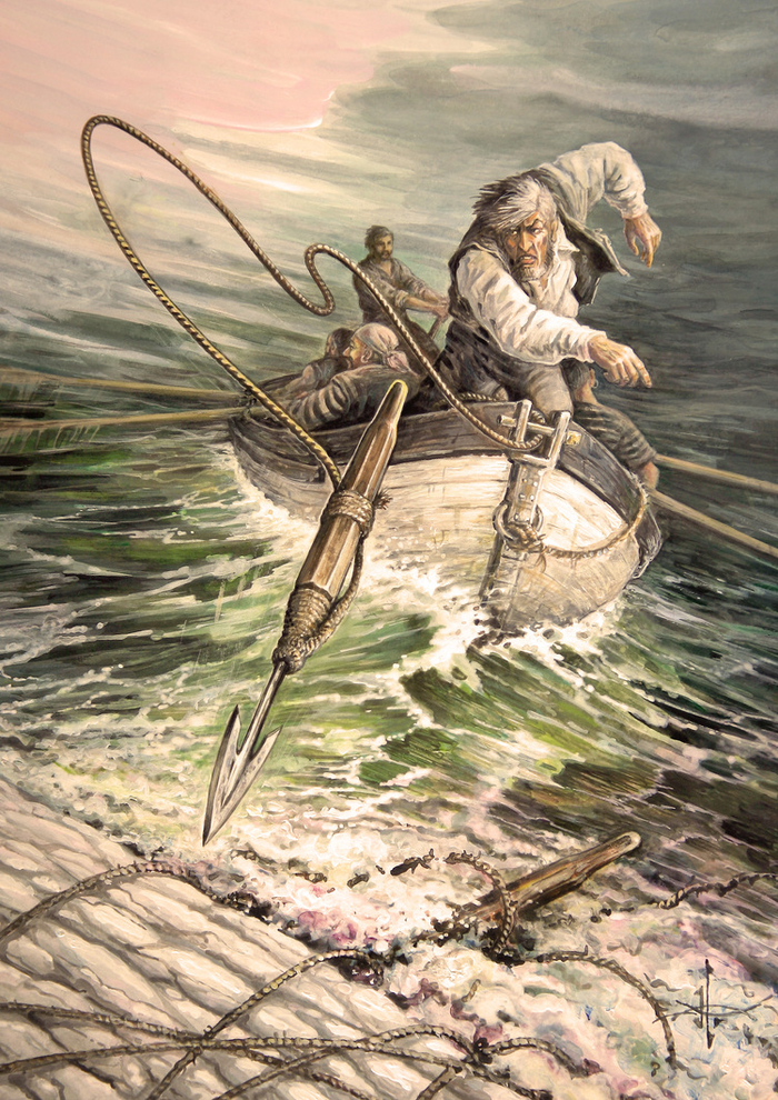 "Табань...!!! Влепи ему...!!! - И полетел гарпун..."