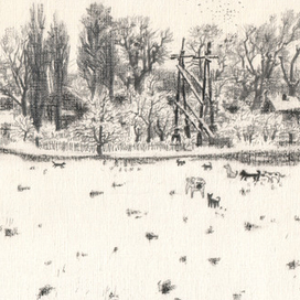 Собаки. "Город-остров"