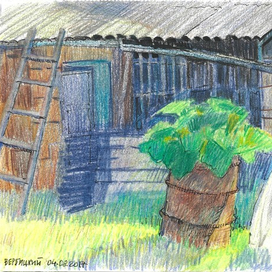 Ярославская область. Сарай на заднем дворе деревенского дома.