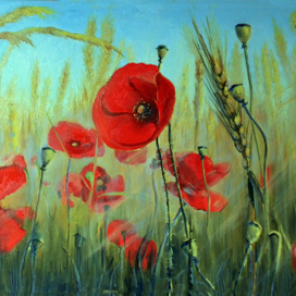 Маки в поле