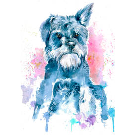 Цвергшнауцер 