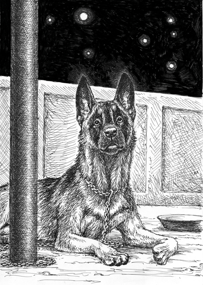 О свободе...