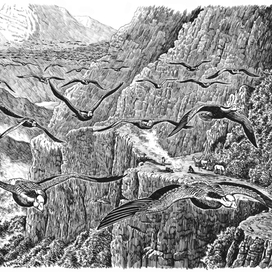 Индийские горные пошли.