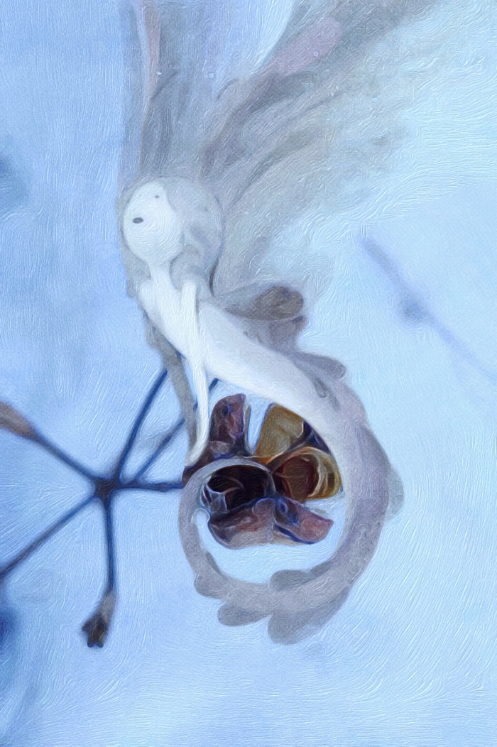 Зимняя барабашка просыпается 