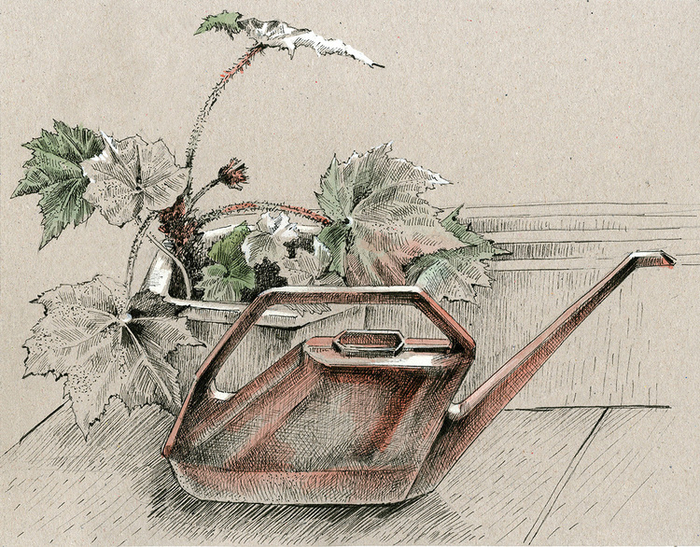 Красная лейка