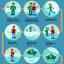 Инфографика.