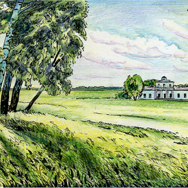 "В родные места"