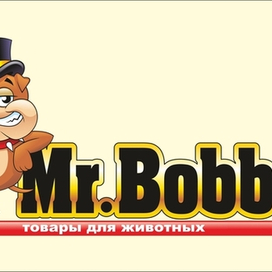 Mr.Bobby