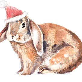 зайка санта