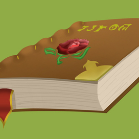 Казуальная книга