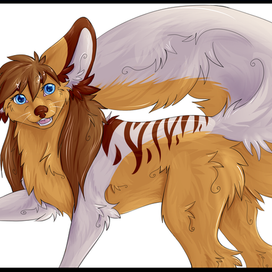 Маджента |Подарок|