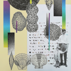 Наука и жизнь