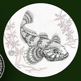 Подкаменщик обыкновенный Серия "Красная Книга СССР"