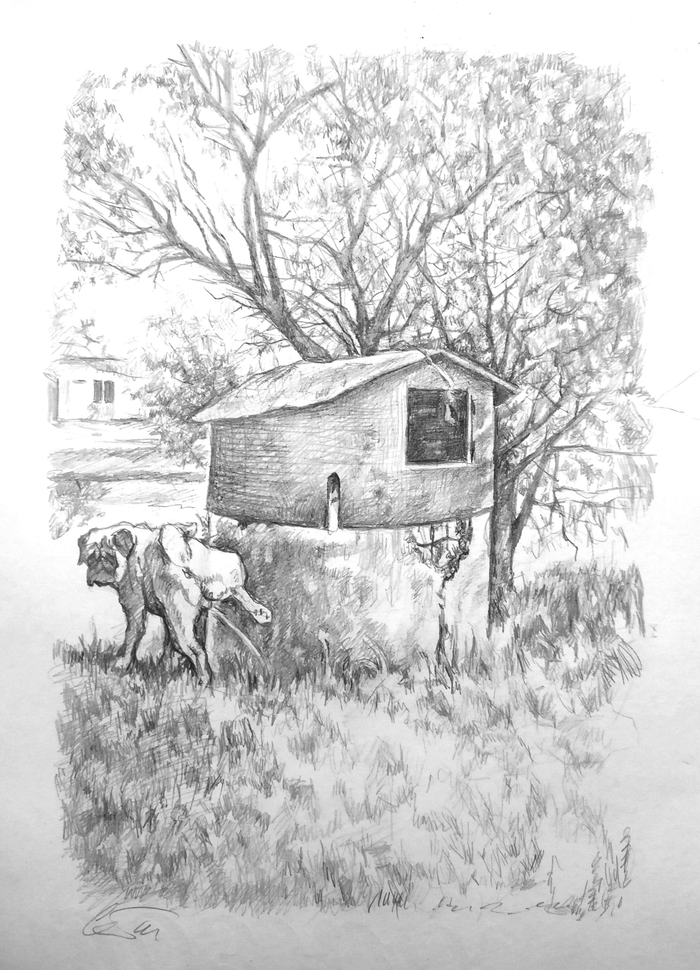 Немецкий дот 1915 года