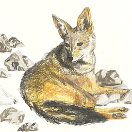 Иллюстрация книги В. Бахревского_Почему луна улыбается