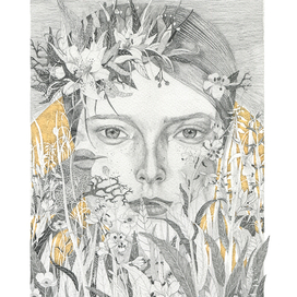 Мотыжник рассвета