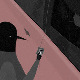 Abduction of the very important duck 1