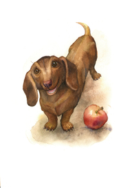 Таксочка Эльза