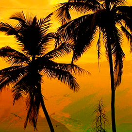 Летний вечер