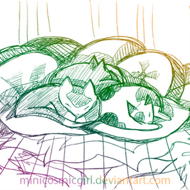 Коты на подушках