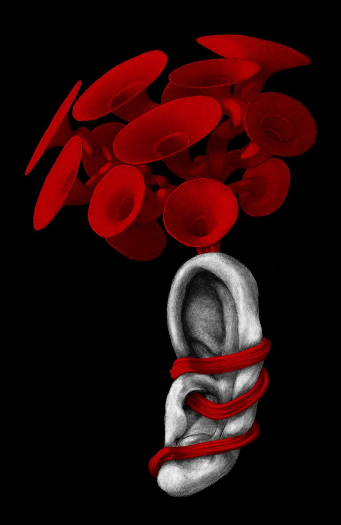 обложка второй вариант