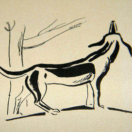 книга о собаках