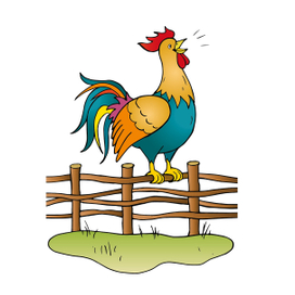 Петух (иллюстрация для учебного пособия)