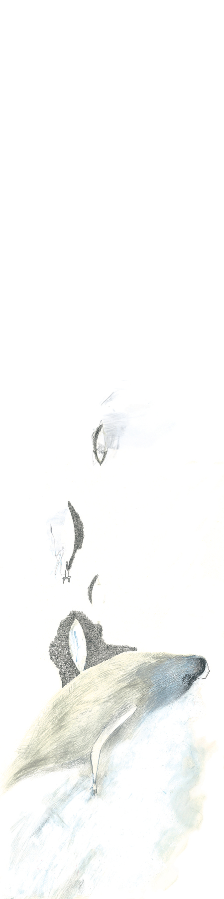 Сны. Габриель Гарсиа Маркес "Глаза голубой собаки".