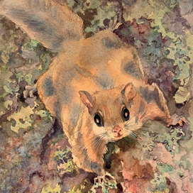 “Серая ночь» Юрий Коваль, АСТ, 2025