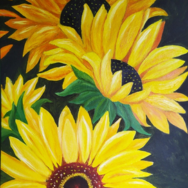 Подсолнухи