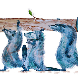 Бобры - строители и маленький бобрёнок - строильчонок. 