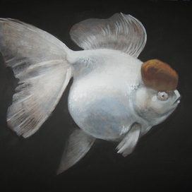 золотая рыбка