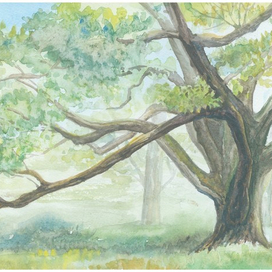 Ветвистое дерево