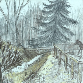 В Токсово. Лошадка.