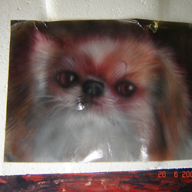 Аэрогарфия 30 на 40