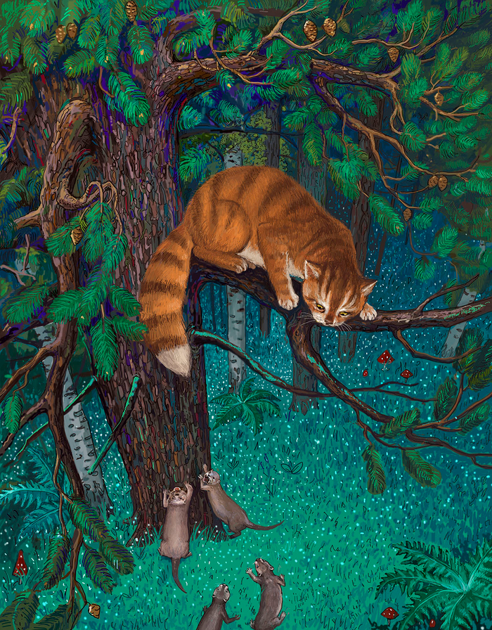 Кот Тимофей спасается на сосне от злых выдр.